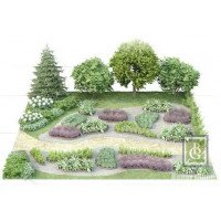 Композиция 9. Дизайн большого сада с джидой и барбарисом